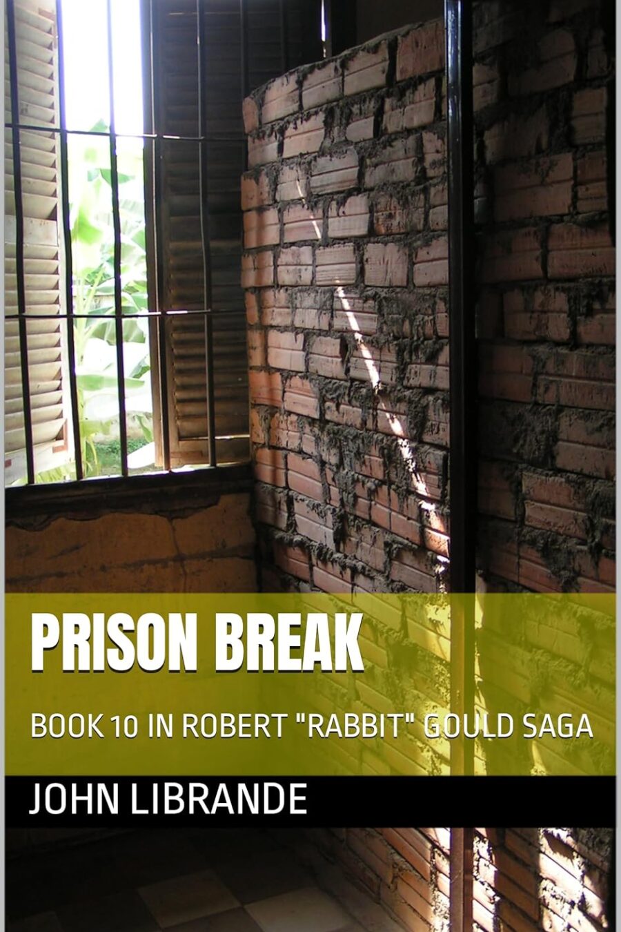 Cover of Prison Break